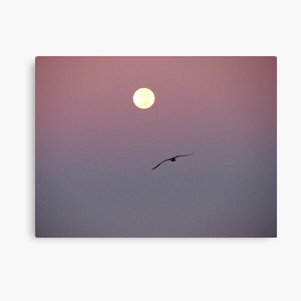 Follow Your Dreams Canvas Print