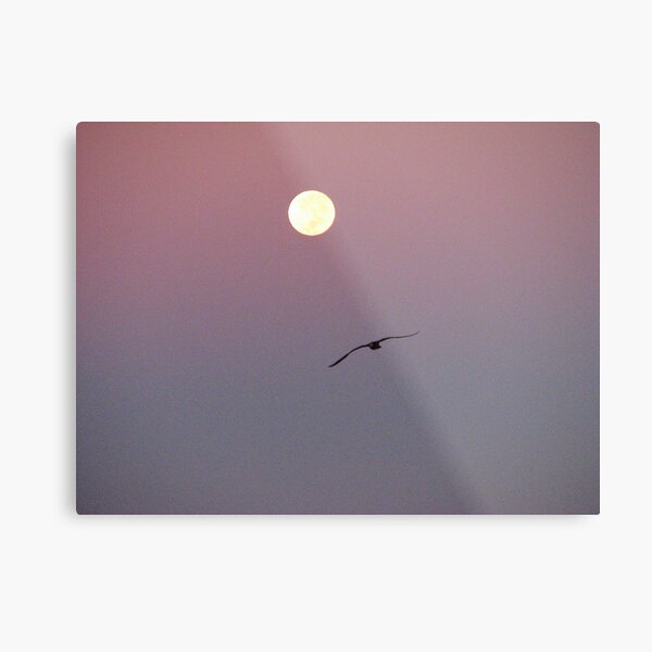 Follow Your Dreams Metal Print