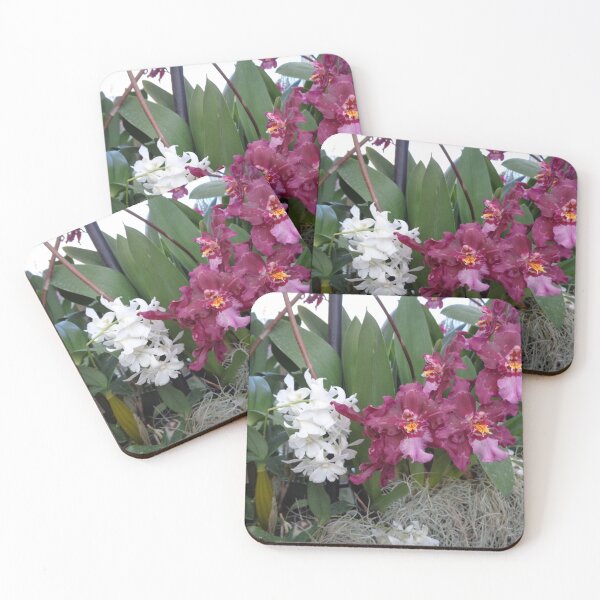 Item preview, Orchids 2 designed and sold by GardenArtworks.