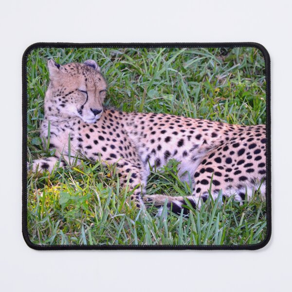 Item preview, Sleeping Cheetah designed and sold by richardbryce.