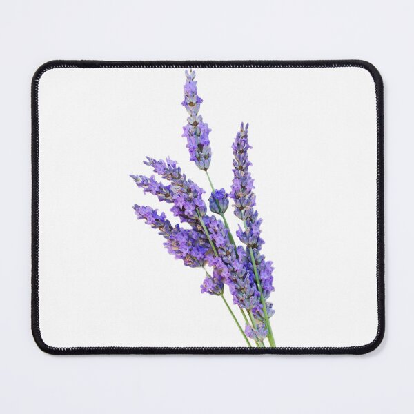 Item preview, Lavender Photograph designed and sold by Rocklights.