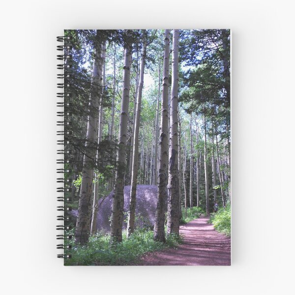 Item preview, Devil's Head fire lookout trail designed and sold by BeeGarland.