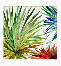 Rio Five Photographic Print