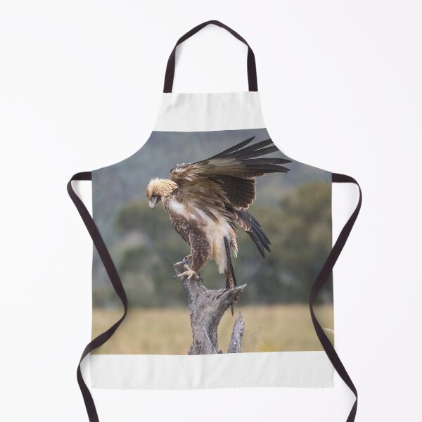 Item preview, Juvenile Wedge-Tailed eagle designed and sold by Kym Bradley.