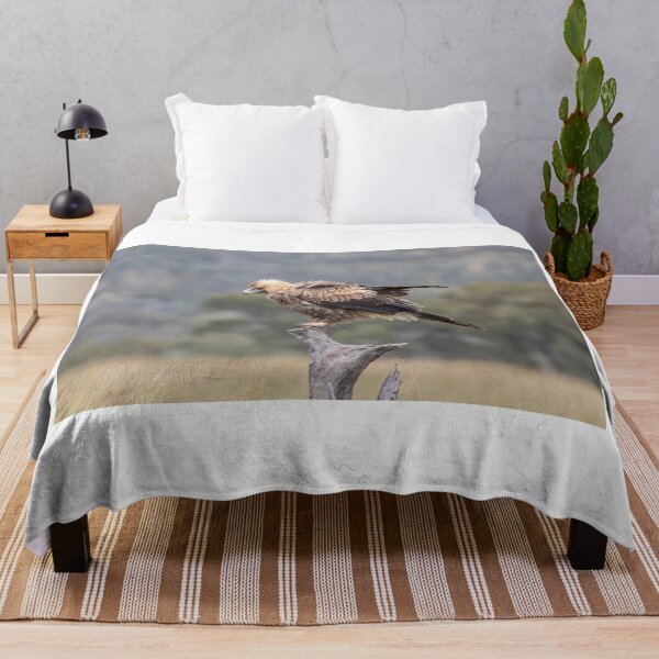 Item preview, Juvenile Wedge-Tailed eagle No 2 designed and sold by Kym Bradley.
