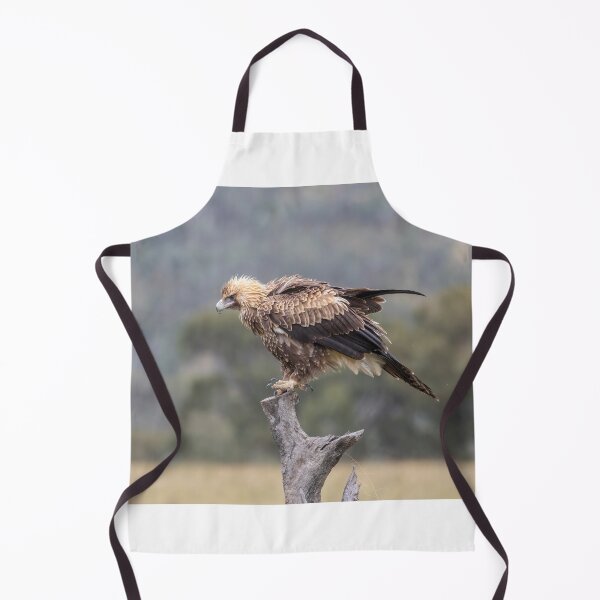 Item preview, Juvenile Wedge-Tailed eagle No 2 designed and sold by Kym Bradley.