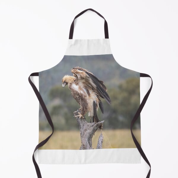 Item preview, Juvenile Wedge-Tailed eagle no 3 designed and sold by Kym Bradley.