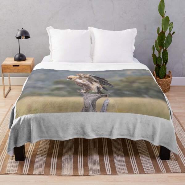Item preview, Juvenile Wedge-Tailed eagle no 3 designed and sold by Kym Bradley.