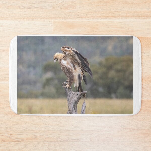 Item preview, Juvenile Wedge-Tailed eagle no 3 designed and sold by Kym Bradley.