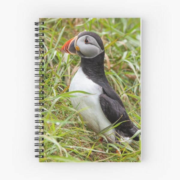 Item preview, Puffin designed and sold by Mike Cave.
