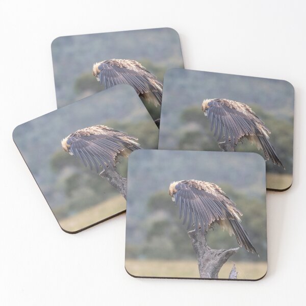 Item preview, Juvenile Wedge-Tailed eagle no 4 designed and sold by Kym Bradley.