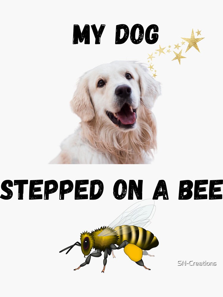 My dog stepped on a bee🐝!! 