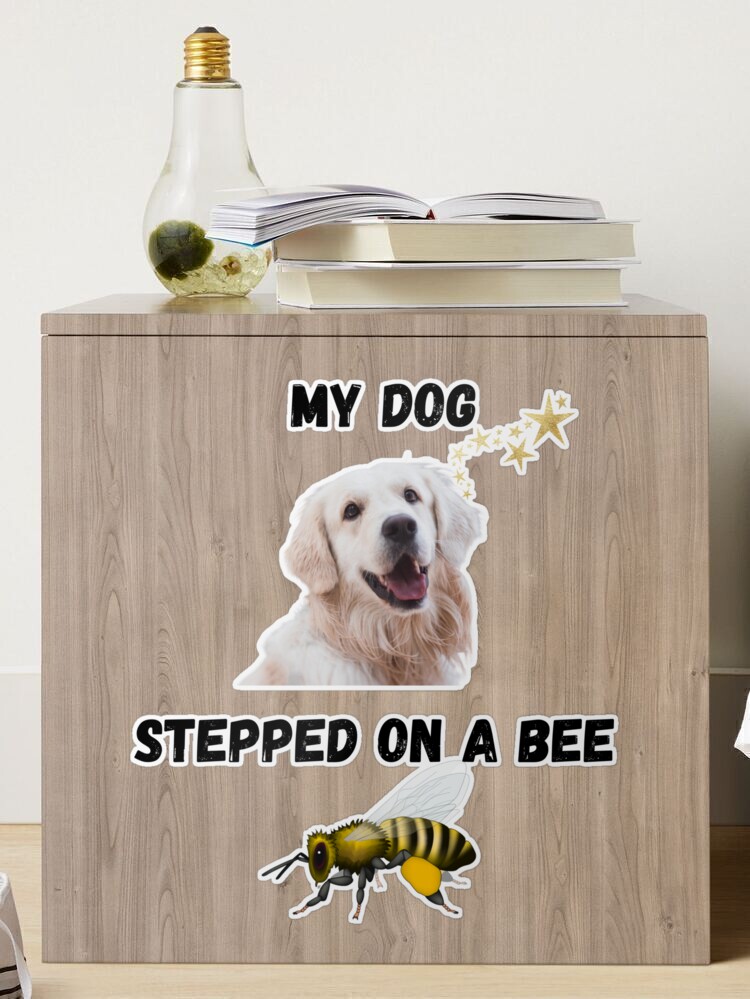 MY Dog Stepped on a Bee Vox