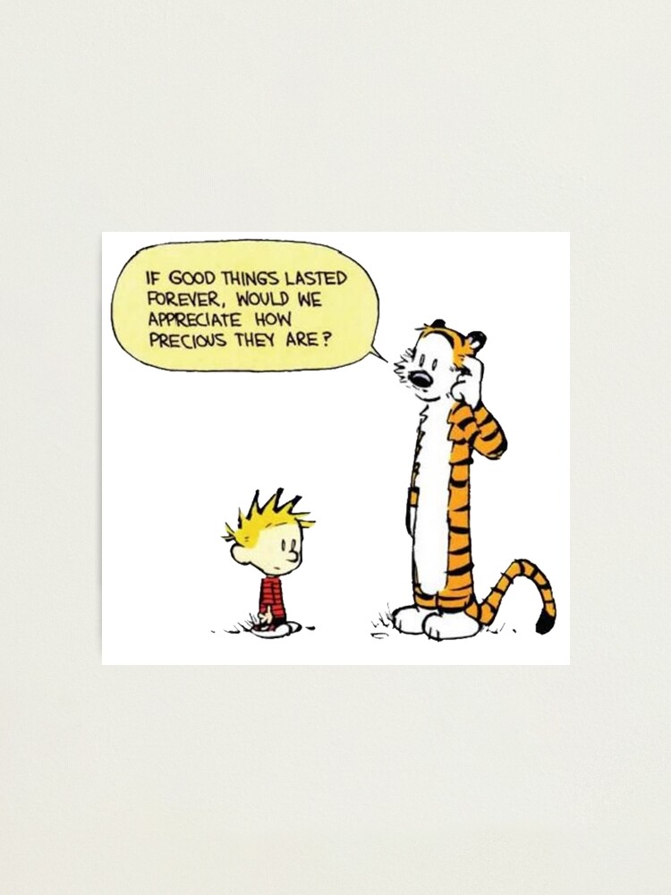 calvin, hobbes, calvin hobbes, calvin and hobbes, comic, cartoon, funny, cute, tiger, zzzx calvin, hobbes, calvin hobbes, calvin and hobbes, comic, cartoon, funny, cute, tiger, zzzx