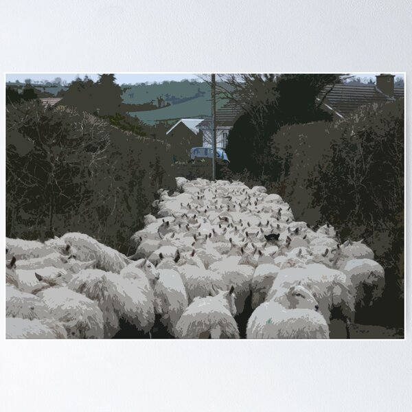 Item preview, Road full of Sheep designed and sold by joconti.