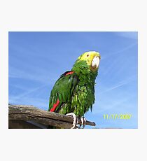 jack sparrow Photographic Print
