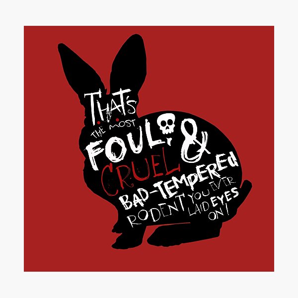 It's Just a Harmless Little Bunny Photographic Print