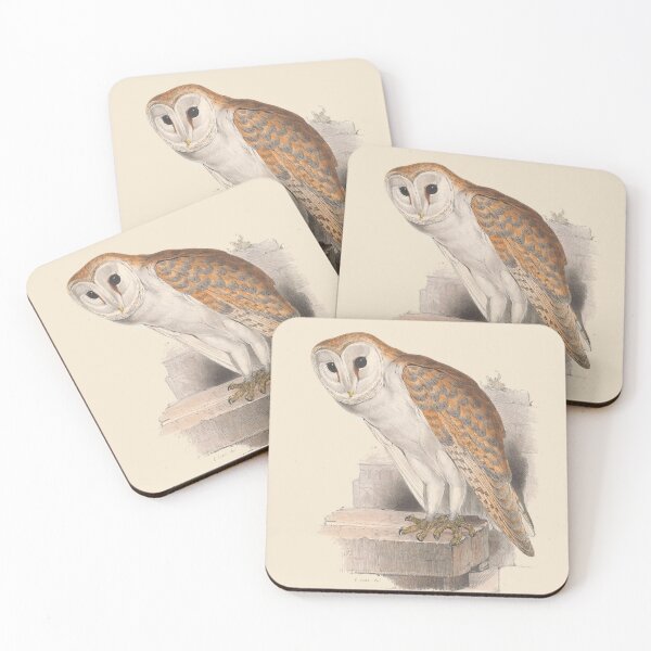 Item preview, Birds of Europe - Barn Owl - John Gould designed and sold by SuperMerchMan.