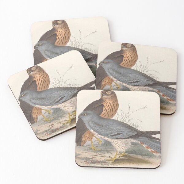 Item preview, Birds of Europe - Ash-Coloured Harrier designed and sold by SuperMerchMan.