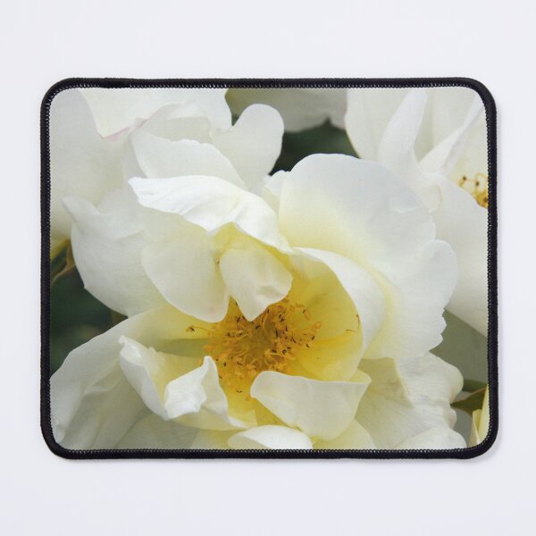 Item preview, Simply a Rose designed and sold by coffeebean.