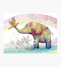 The Indigo Elephant Photographic Print