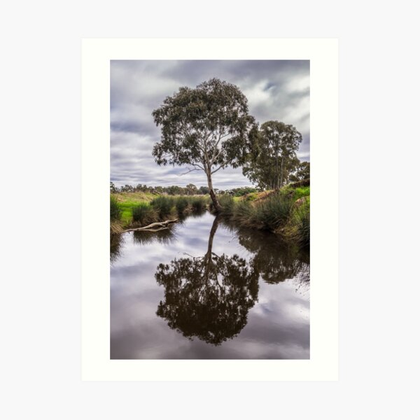Peaceful Art Print