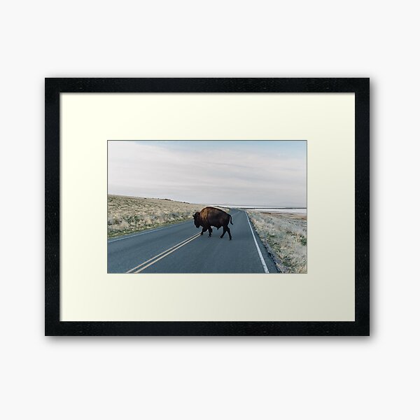 Item preview, Seldom is Herd designed and sold by chelseavictoria.