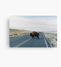 Seldom is Herd Canvas Print