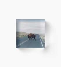Seldom is Herd Acrylic Block