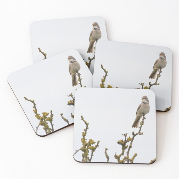 Item preview, Whitethroat designed and sold by LaurenTucker.