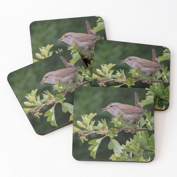 Item preview, Wren designed and sold by LaurenTucker.