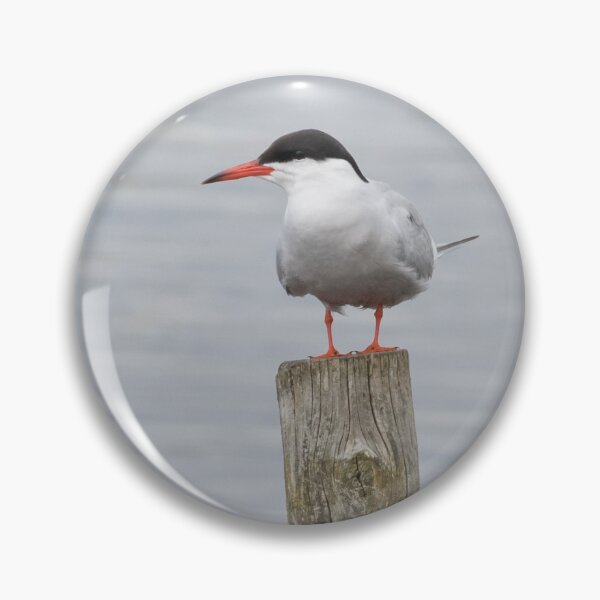 Item preview, Common Tern designed and sold by LaurenTucker.