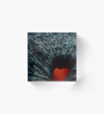 Hell hath... Acrylic Block