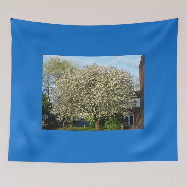Item preview, The Tree On The Corner designed and sold by BlueMidnight.