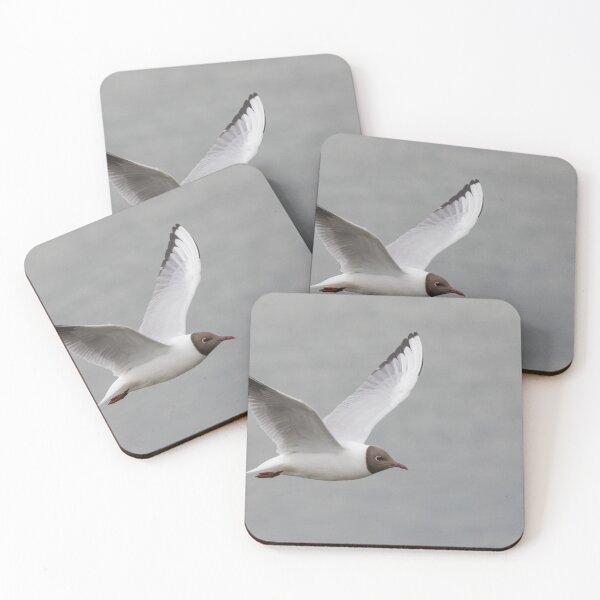 Item preview, Black Headed Gull designed and sold by LaurenTucker.