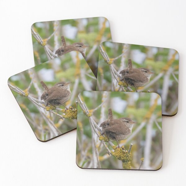 Item preview, Wren designed and sold by LaurenTucker.