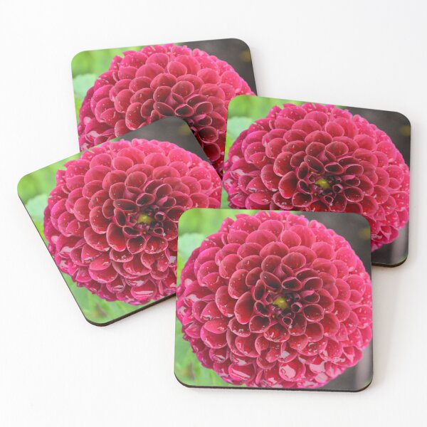 Item preview, Pink round dahlia  designed and sold by enchantedvibes.