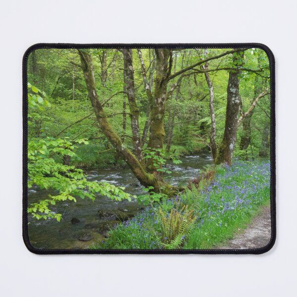 Item preview, A Highland stream in summer designed and sold by Josie Gilbert.