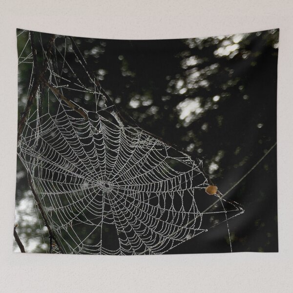 Item preview, Spiderweb designed and sold by smh2.