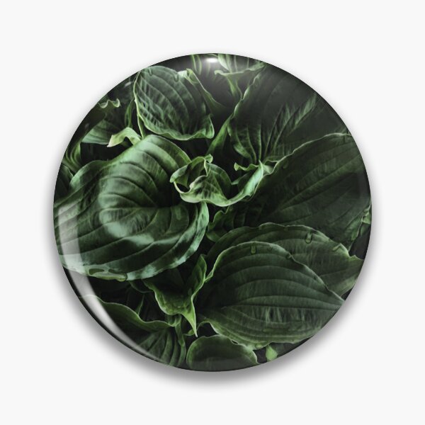 Item preview, Hosta Green Smoke designed and sold by SunshineWalker.
