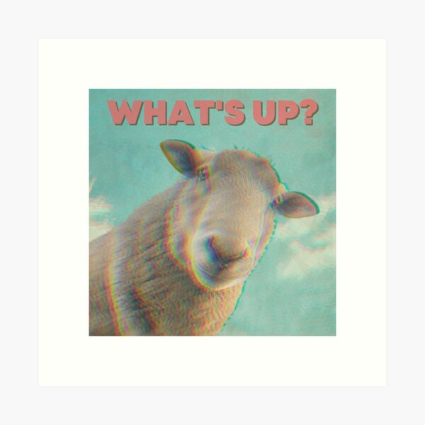 Funny Sheep Art Prints for Sale | Redbubble Funny Sheep Art Prints for Sale | Redbubble