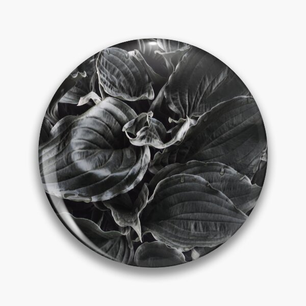 Item preview, Hosta Not Quite Black and White designed and sold by SunshineWalker.