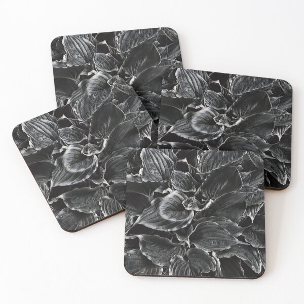 Item preview, Hosta Not Quite Black and White designed and sold by SunshineWalker.