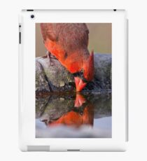 Redbird Reflections iPad Case/Skin