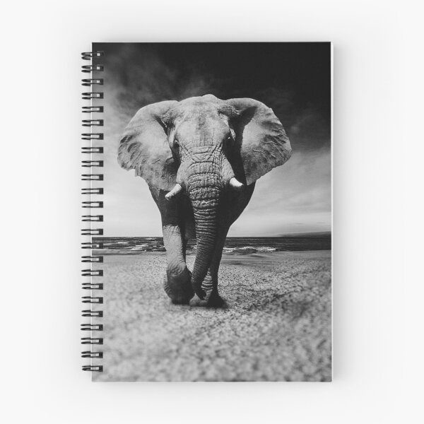 Item preview, Black and white wildlife Elephant BY CALLISC designed and sold by Calliope Cr ⭐⭐⭐⭐⭐.