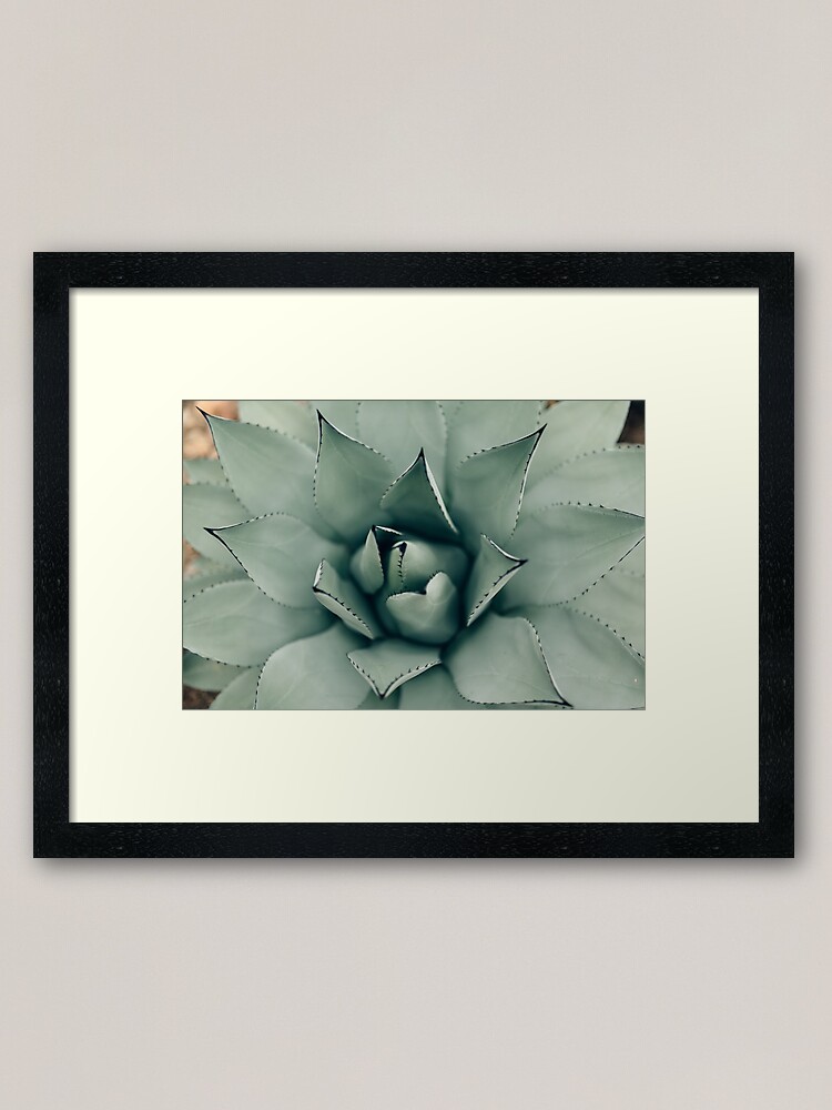 Alternate view of Desert Rose Framed Art Print