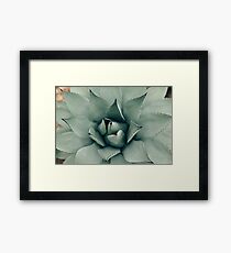 Desert Rose Framed Print