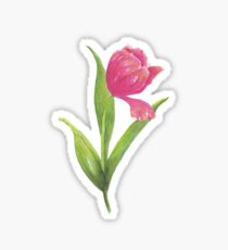 Tulip: Stickers | Redbubble