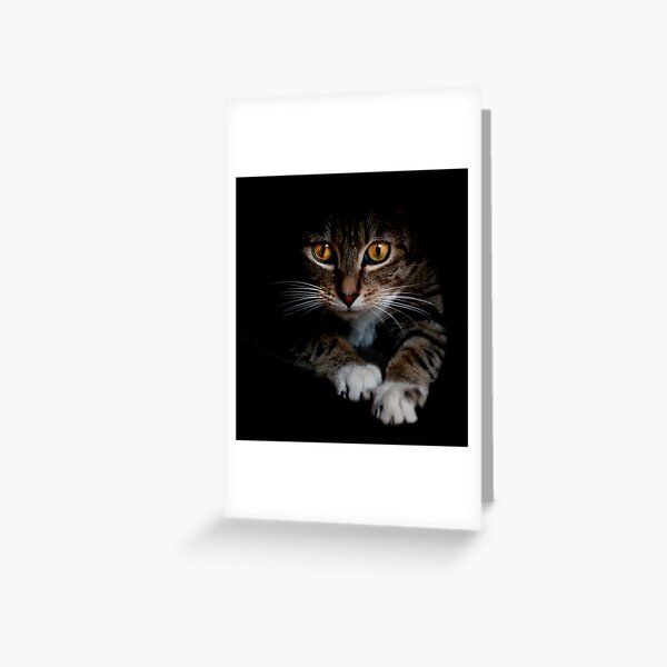 Out of the Shadows Greeting Card