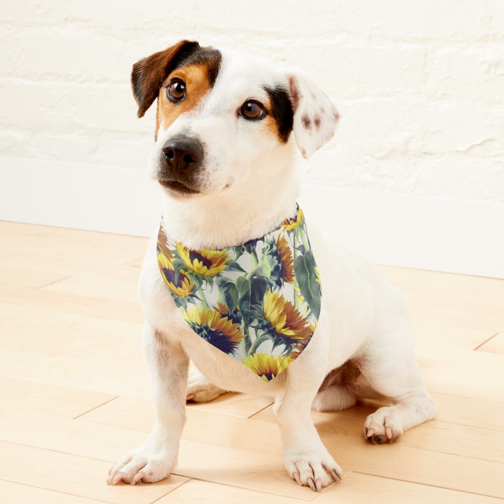 Sunflowers Forever Pet Bandana